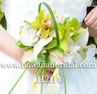 �n���C�A���u�[�P